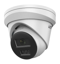 4MP Dual-Light Turret